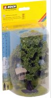 Tree with Tree House